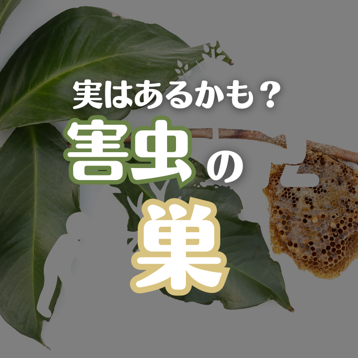 実はもう木にあるかも？害虫の巣の危険性 | 株式会社アイツーリンク